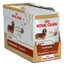 ROYAL CANIN Jazvečík Adult 12x85g