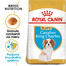 ROYAL CANIN Cavalier King Charles Puppy 1,5 kg granule pre šteňa gavalieršpaniela