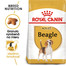 ROYAL CANIN Beagle adult 12 kg