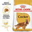 ROYAL CANIN Cocker Adult 12kg granule pre dospelého kokeršpaniela
