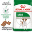 ROYAL CANIN Mini Adult 2kg
