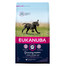 EUKANUBA Growing Puppy Large Breed Chicken 2 kg