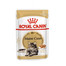 ROYAL CANIN Mainecoon 12 x 85 g