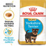 ROYAL CANIN Yorkshire Puppy 1.5 kg granule pre šteňa jorkšíra
