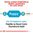 ROYAL CANIN Dachshund Puppy 1,5 kg granule pre šteňa jazvečíka