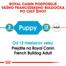 ROYAL CANIN French Bulldog Puppy 3kg granule pre šteňa francúzskeho buldočka