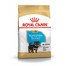 ROYAL CANIN Yorkshire Puppy 500g granule pre šteňa jorkšíra