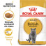 ROYAL CANIN British Shorthair Adult 2kg granule pre britské krátkosrsté mačky