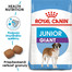ROYAL CANIN Giant Junior 18 kg granule pre obrie šteňatá
