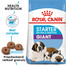 ROYAL CANIN Giant Starter Mother & Babydog 15 kg  granule pre brezivé alebo dojčiace suky a šteňatá obrích plemien