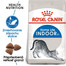 ROYAL CANIN Indoor 400g granule pre dospelé mačky chované v byte
