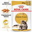 ROYAL CANIN Maine Coon Loaf 85g  kapsička s paštétou pre mainskú mývaliu mačku