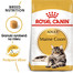 ROYAL CANIN Maine Coon Adult 4kg granule pre dospelé mainské mývalie mačky