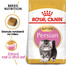 ROYAL CANIN Persian Kitten 400g granule pre perzské mačiatka