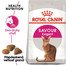 ROYAL CANIN Savour Exigent 4kg granule pre maškrtné mačky