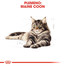 ROYAL CANIN Maine Coon Loaf 85g  kapsička s paštétou pre mainskú mývaliu mačku