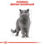 ROYAL CANIN British Shorthair Gravy 12x85g