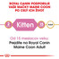 ROYAL CANIN Maine Coon Kitten 2 kg granule pre mainské mývalie mačiatka