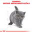 ROYAL CANIN British Shorthair Kitten 400g granule pre britské krátkosrsté mačiatka