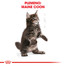 ROYAL CANIN Maine Coon Kitten 4kg granule pre mainské mývalie mačiatka