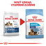 ROYAL CANIN Maxi Starter Mother & Babydog 15kg granule pre brezivé alebo dojčiace suky a šteňatá