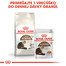 ROYAL CANIN Ageing 12+ granule pre staré mačky 400g