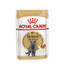 ROYAL CANIN British Shorthair Gravy 12x85g