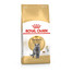 ROYAL CANIN British Shorthair Adult 2kg granule pre britské krátkosrsté mačky