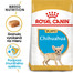 ROYAL CANIN Chihuahua Puppy 500g granule pre šteňa čivavy