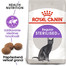 ROYAL CANIN Sterilised 2kg granule pre dospelé kastrované mačky