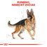 ROYAL CANIN German Shepherd Adult 11 kg granule pre dospelého nemeckého ovčiaka