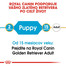 ROYAL CANIN Golden Retriever Puppy 12 kg granule pre šteňa zlatého retrievera