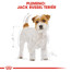 ROYAL CANIN Jack Russell Adult 7,5 kg granule pre dospelého jack russell teriéra