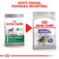 ROYAL CANIN Mini Sterilised 8kg granule pre kastrované malé psy