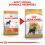ROYAL CANIN Schnauzer Adult 3 kg granule pre dospelého bradáča