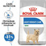ROYAL CANIN Mini Light Weight Care 8kg granule pre dospelých psov malých plemien so sklonom k nadváhe