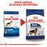 ROYAL CANIN Maxi Adult 10kg