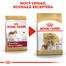 ROYAL CANIN Cavalier King Charles Adult 1,5 kg granule pre dospelého gavalier španiela