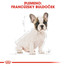 ROYAL CANIN French Bulldog Puppy 3kg granule pre šteňa francúzskeho buldočka