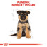 ROYAL CANIN German Shepherd Puppy 3 kg