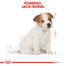 ROYAL CANIN Jack Russell Puppy 3 kg granule pre šteňa jack russell teriéra