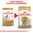 ROYAL CANIN Poodle Adult 1.5 kg granule pre dospelého pudla