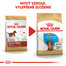 ROYAL CANIN Dachshund Puppy 1,5 kg granule pre šteňa jazvečíka