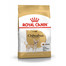 ROYAL CANIN Chihuahua Adult 500g granule pre dospelú čivavu