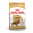 ROYAL CANIN Cocker Adult 12kg granule pre dospelého kokeršpaniela