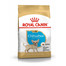 ROYAL CANIN Chihuahua Puppy 500g granule pre šteňa čivavy
