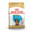 ROYAL CANIN Dachshund Puppy 1,5 kg granule pre šteňa jazvečíka