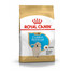 ROYAL CANIN Golden Retriever Puppy 3 kg granule pre šteňa zlatého retrievera
