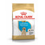 ROYAL CANIN Labrador Puppy 12 kg granule pre šteňa labradora