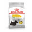 ROYAL CANIN Mini Dermacomfort 800g granule pre malé psy s problémami s kožou a srsťou